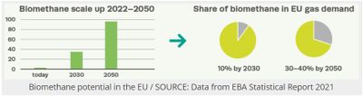Biogas EU 2030 og 2050